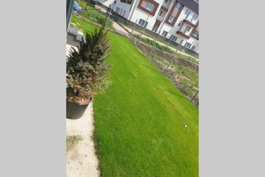 Garden Leisure Apartments Брашов Экстерьер фото